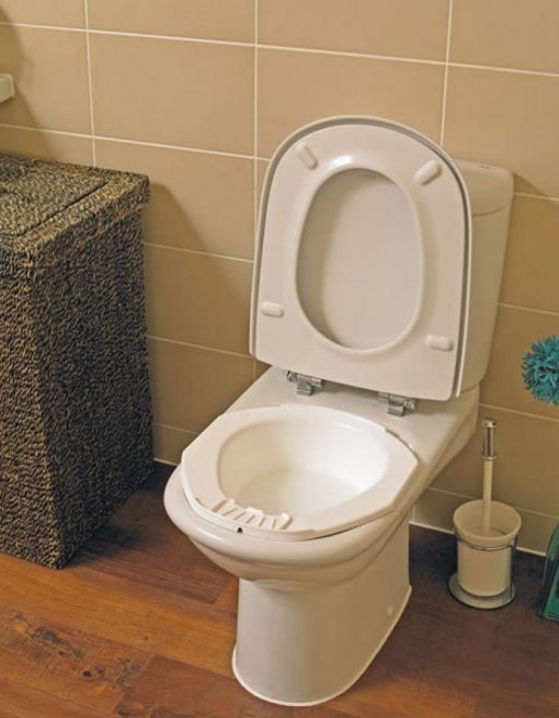 Bidet Bowl in Bathroom Safety/Toilet Aids