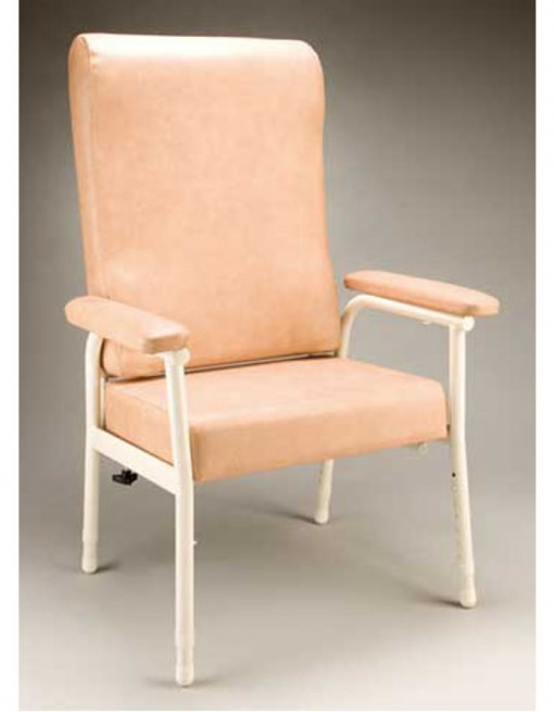 Franklin Chair in Assistive Furniture/High Back Chair