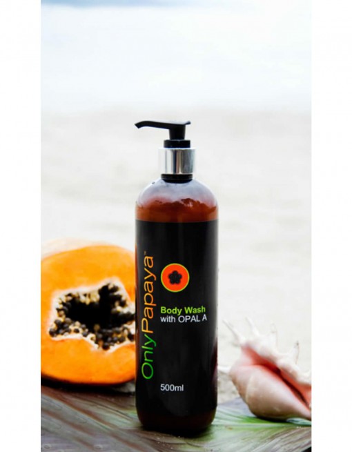 Body Wash 500ml in Daily Aids/Wound Creams, Lotions & Gels