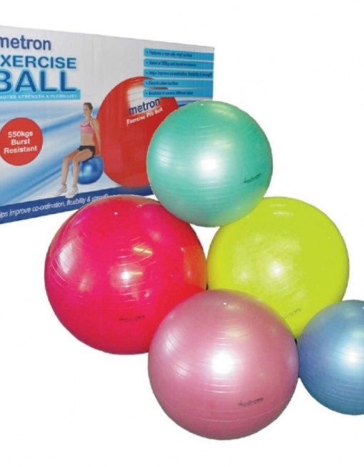 Physiomed Physio Ball in Fitness & Rehab/Exercise Balls & Accessories